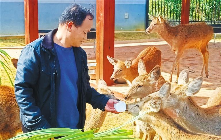 发展产业调研】林下生金不朽情缘游戏【高质
